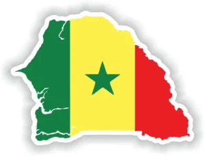 Senegal Soccer